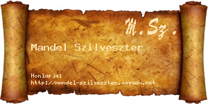 Mandel Szilveszter névjegykártya